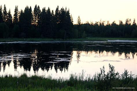 Discovering Wildlife At Elk Island National Park In Alberta World