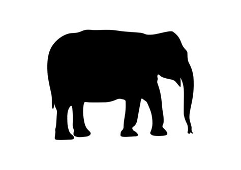 Elephant Silhouette