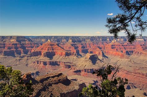 Grand Canyon, Williams, AZ - Curious Craig