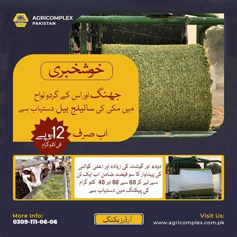 Corn Silage Price In Pakistan Agricomplex Pakistan