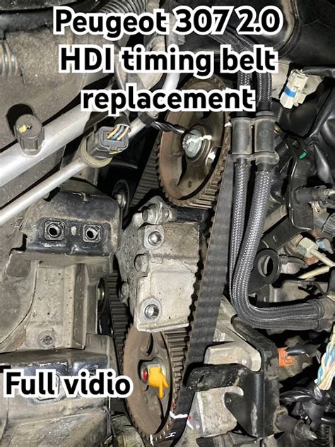 Peugeot 307 20 Hdi Timing Belt Replacement Youtube