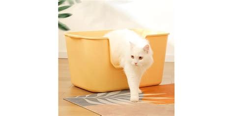 Extra Large Litter Box With High Sides