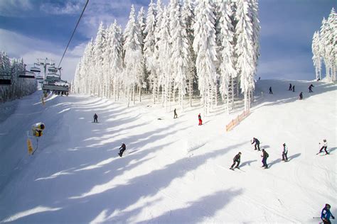 Winterberg Ski Holiday Reviews Skiing