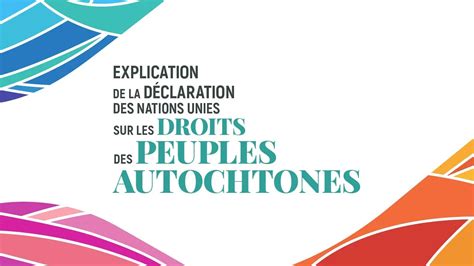 Explication De La D Claration Des Nations Unies Sur Les Droits Des