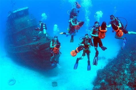 British virgin islands snorkeling guide