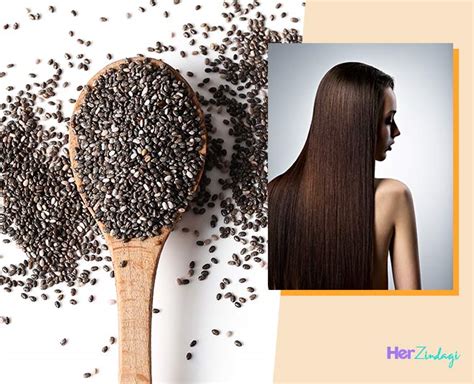 Hair Loss Chia Seeds For Hair Growth At Travis Daughtry Blog