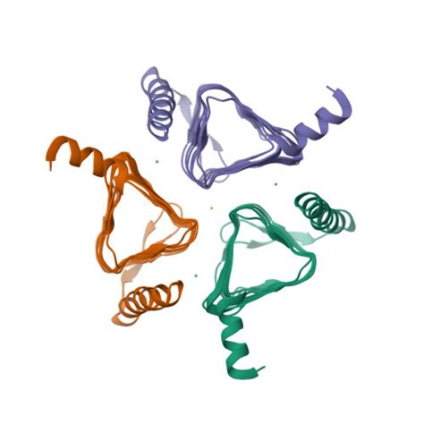 Rcsb Pdb 4mfg 20 Angstrom Resolution Crystal Structure Of Putative