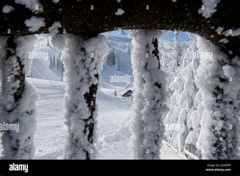 Sarajevo 1984 Xiv Olympische Winterspiele Fotos Und Bildmaterial In