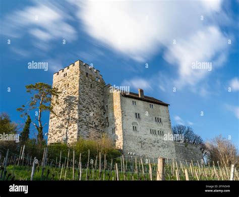 Habsburg Castle In Canton Aargau Switzeland Is The Original Seat Of