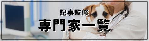 雑種の猫の種類8選！日本で一番多い雑種猫の性格や魅力を大解剖！