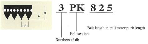 Automotive V Belt Length Chart | Literacy Basics