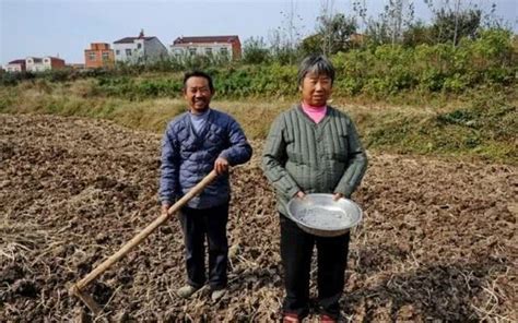 未來幾年，農村將面臨幾大問題，農民必須重視，尤其是第二條 每日頭條