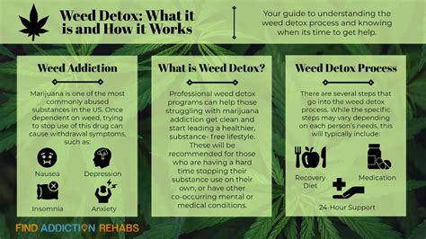 Weed Detox | Proven Methods for Recovery | Get 24/7 Help