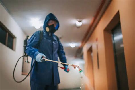 What Does Pest Control Do In Apartments The Complete Guide Nm Pest