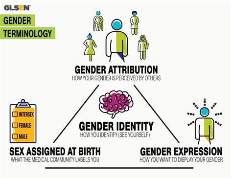 Gender Terminology Social Emotional Development Gender Gender Identity