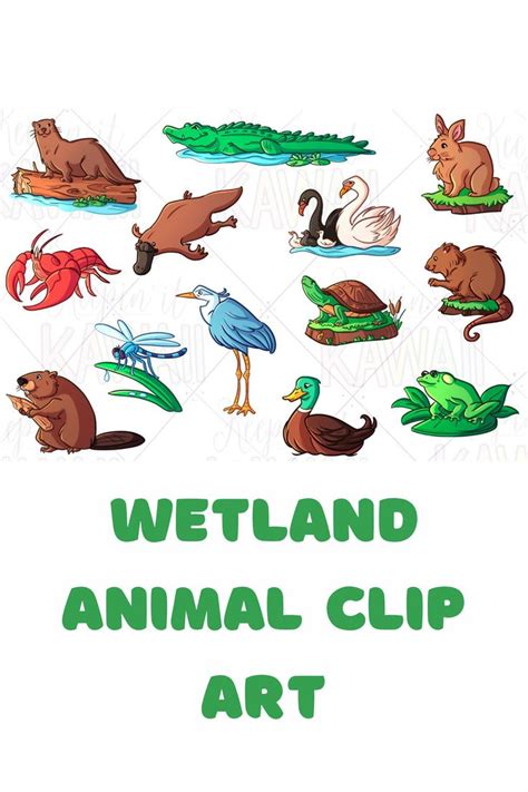 Wetland Animals Clip Art