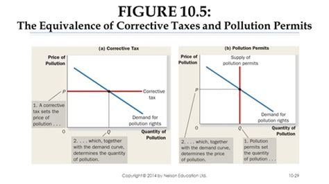 Chapter 10 Externalities Flashcards Quizlet