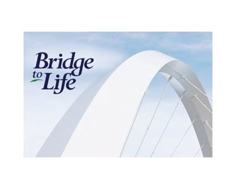 News And Press Releases Bridge To Life Ltd