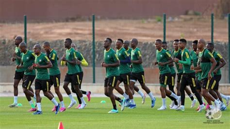 Mali 2 - 0 Bafana Bafana: H2H, AFCON Live Scores & Starting Lineups ...