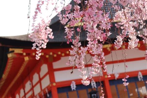 Fushimi Inari Shrine Overview Japan Wonder Travel Blog