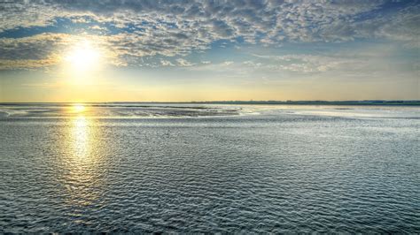 Natuurclubs Trekken Aan De Bel Over Waddenzee