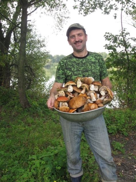 Create Meme Mushroom Picker Paradise Mushrooms Kalosevici Mushrooms