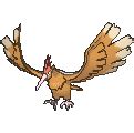 Fearow Pokédex: stats, moves, evolution & locations | Pokémon Database