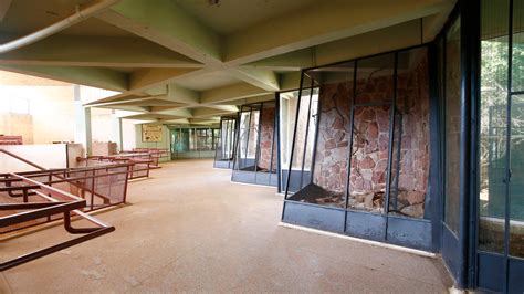 OKC Zoo Pachyderm Building reopening with new exhibits, less smell