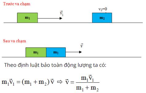 Động Lượng Là Gì Định Luật Bảo Toàn động Lượng Tổng Hợp Lý Thuyết