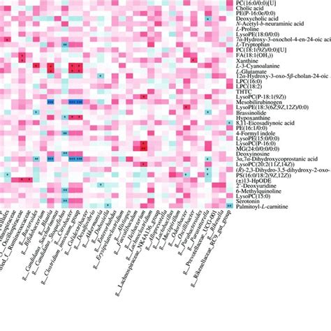 The Heatmap Of Spearmans Correlation Analysis Between Candidate