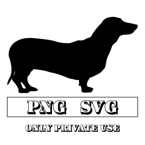 Dachshund Silhouette Png And Svg Dachshund Digital Graphic Dachshund