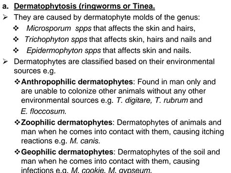 Solution Cutaneous And Superficial Mycoses Ppt Studypool