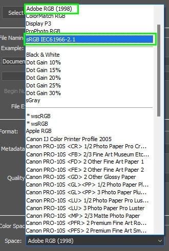 Easy Ways To Convert Raw Files To Jpeg In Photoshop