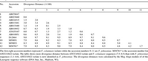 Identification of Flavobacterium columnare by a species-specific polymerase chain reaction and ...