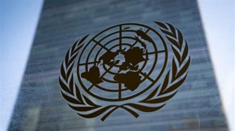 UN Adopts World S First Treaty To Protect The High Seas World News