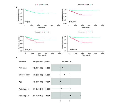 Identification Of Bcr Free Survival Related Clinical Characteristics