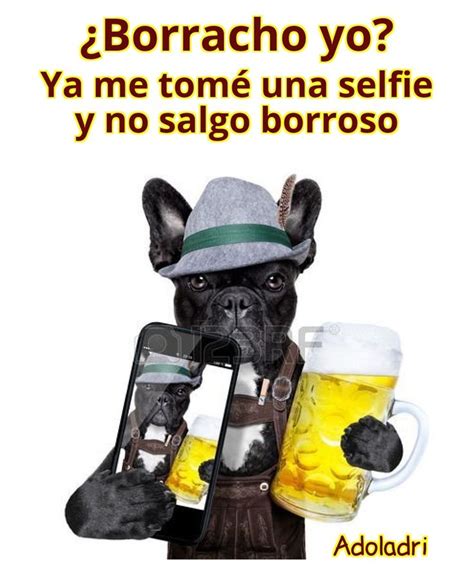 Pin De Adolfo Adrian En Memes Imagenes De Borrachos Borrachos Selfies