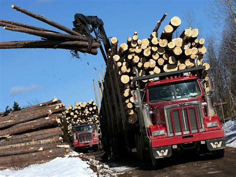 Western Star 4900 FA logging truck #heavyhauling | White western star ...