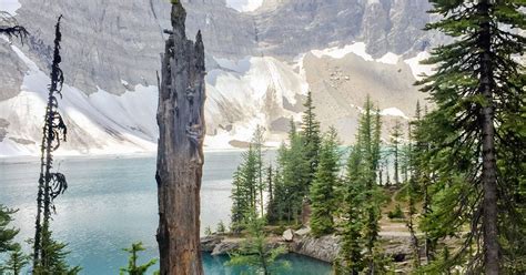 8 Breathtaking Hikes in Kootenay National Park, BC | 10Adventures