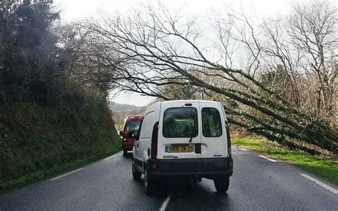 Coups De Vent Un Arbre Sur La Route Entre Le Faou Et Terenez Le