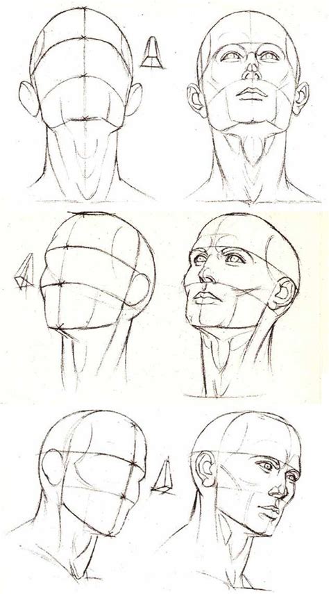 Portrait Different Angles And Perspective Of The Head Drawing Heads