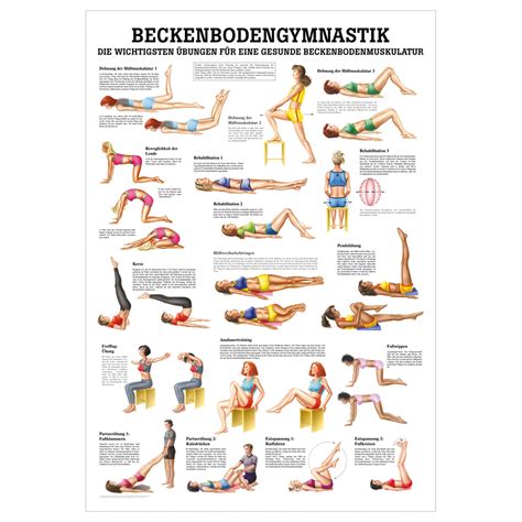 Mini Poster Beckenbodengymnastik Lxb X Cm Jetzt Kaufen Sport Tec