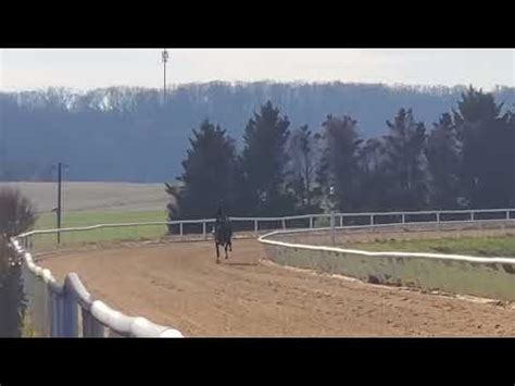 Naked And Famous Galloping On Youtube