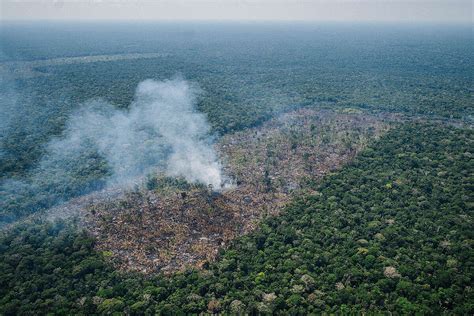 Deter B registra 555 km² de desmatamento na Amazônia segundo maior