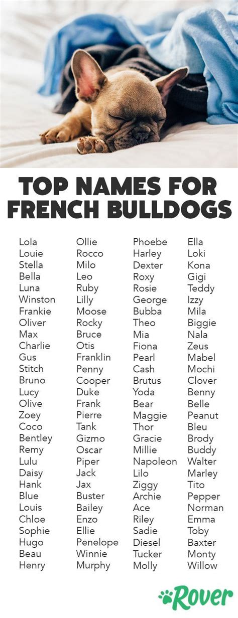 The 116 Most Popular French Bulldog Names Of 2019 In 2020 French