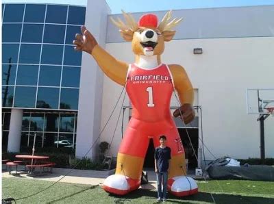 2023 New Custom Inflatable Fairfield University Mascot The Stag - China ...