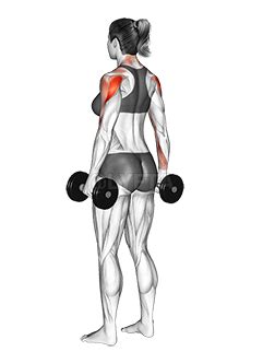 Dumbbell Rear Delt Raise - Video Guide | Lyfta