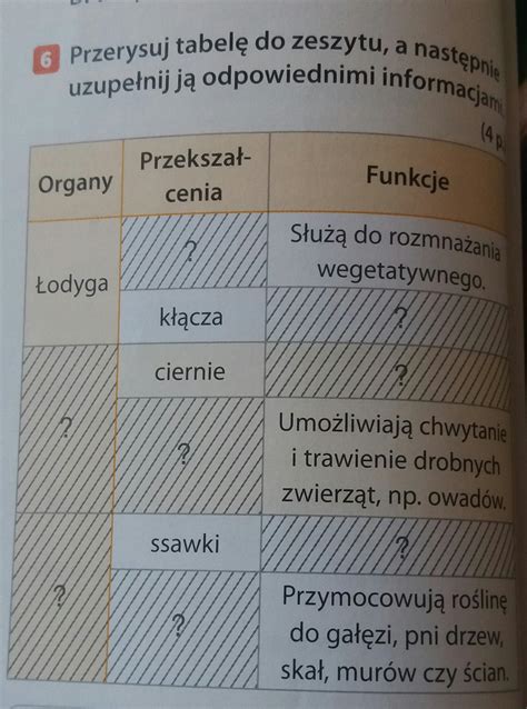 Przerysuj Tabel Do Zeszytu A Nastpnie Wpisz W Odpowiednich Rubrykach