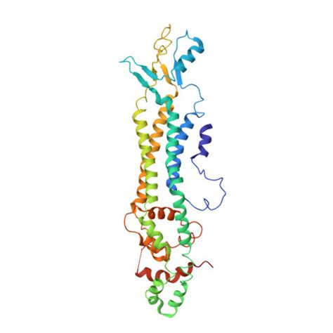 RCSB PDB 7XL6 Cryo EM Structure Of Human Pannexin 3