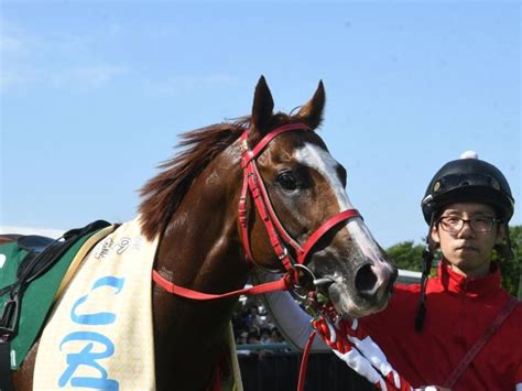 【cbc賞レース後コメント】ジャスパークローネ団野大成騎手ら 競馬ニュース Netkeiba